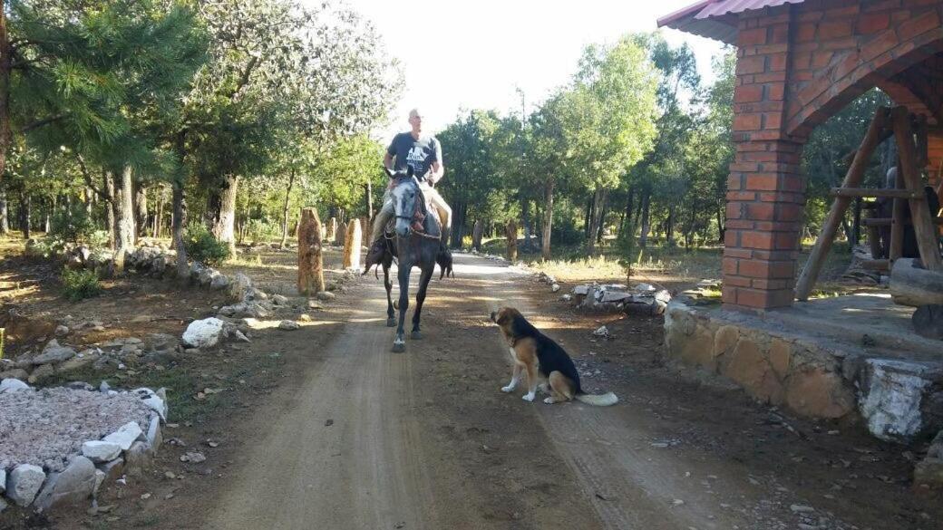 Rancho Cabanas San Isidro Cerocahuí Dış mekan fotoğraf