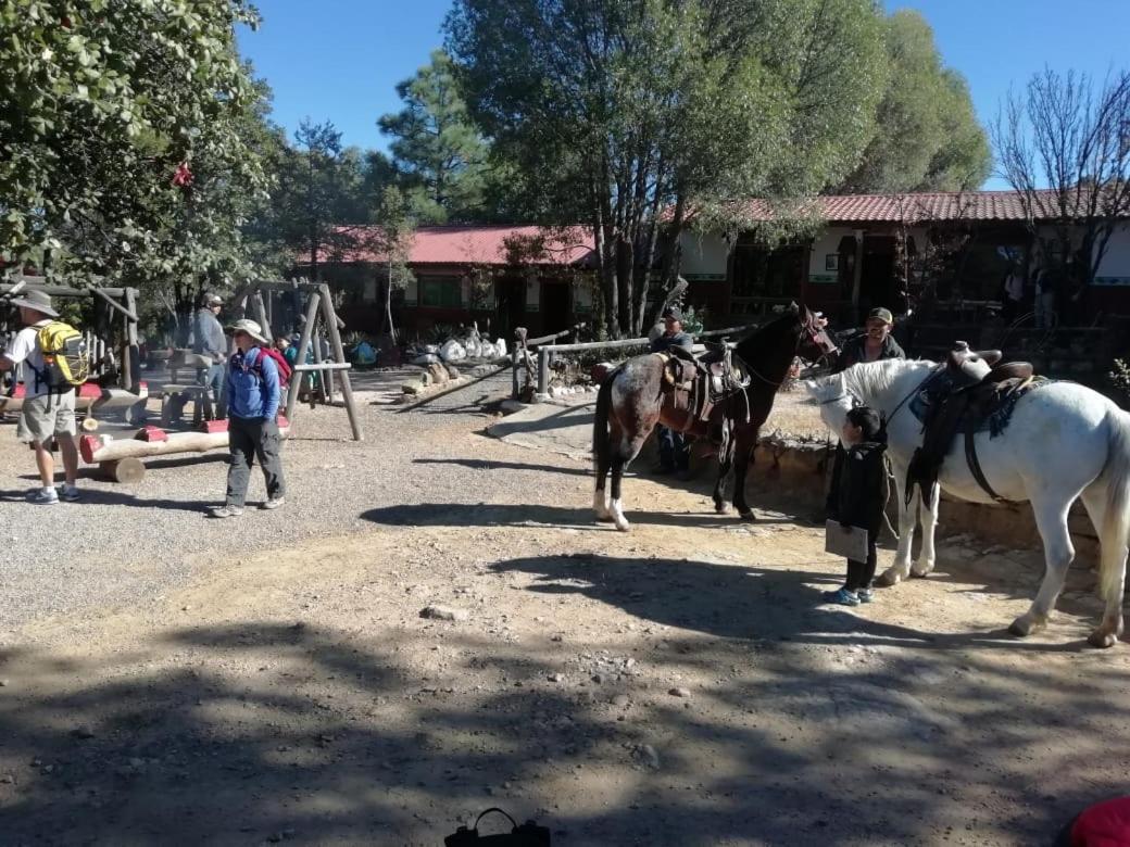 Rancho Cabanas San Isidro Cerocahuí Dış mekan fotoğraf