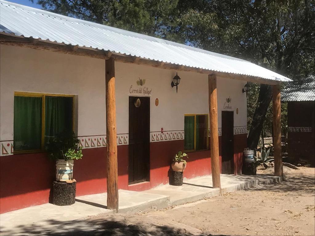 Rancho Cabanas San Isidro Cerocahuí Dış mekan fotoğraf